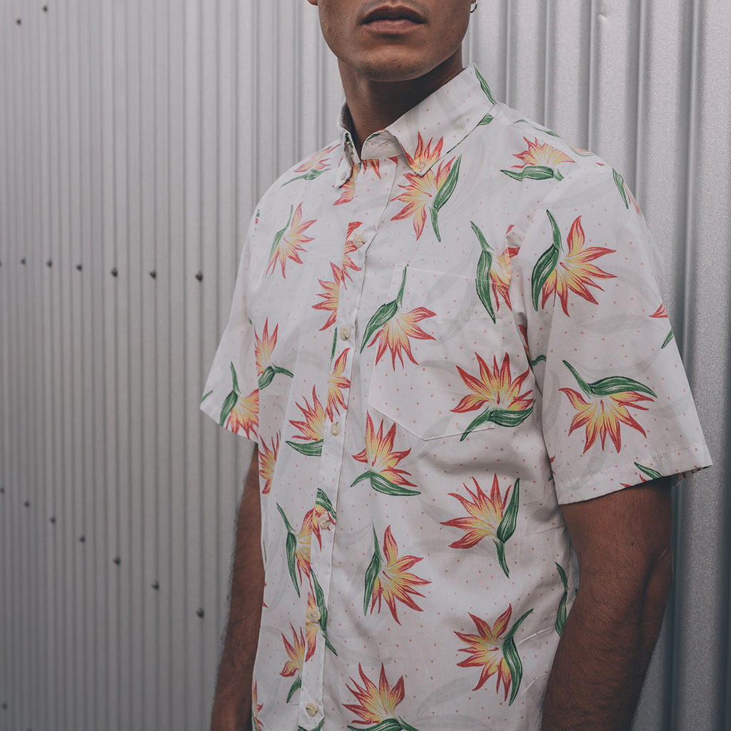 Men's Paradise Polka Aloha Shirt
